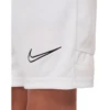 Nike Dri-FIT Academy Soccer Short - Boys'